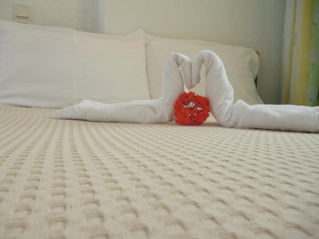 Standard Double Room,1681733565:JPEG
